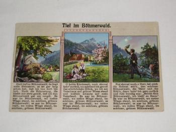 Šumava, pohled, pohlednice, Böhmerwald